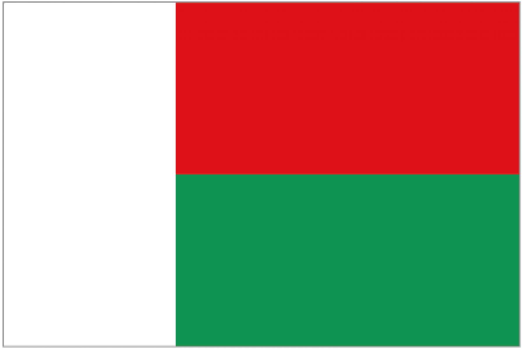 马达加斯加BSC跟踪单